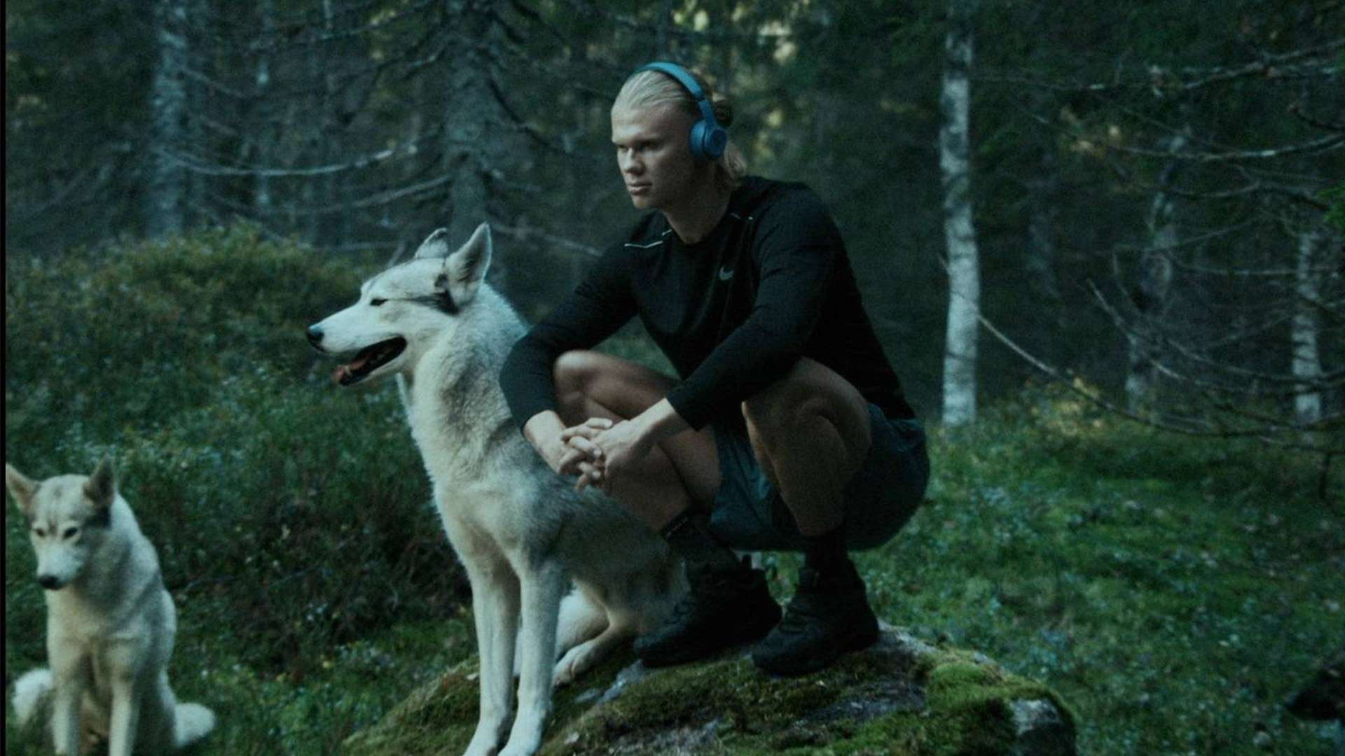 经济的调控 经济的调控