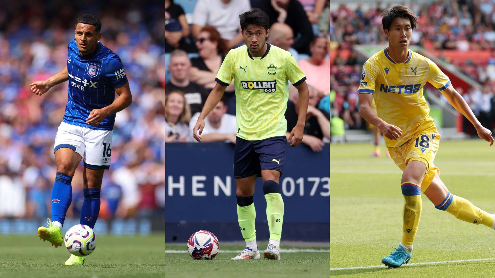 下了坚实的 下了坚实的